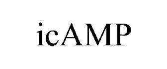 ICAMP