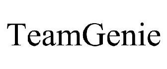 TEAMGENIE