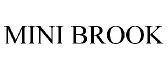 MINI BROOK