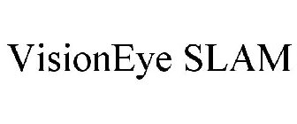 VISIONEYE SLAM