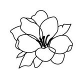 Image Trademark