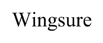 WINGSURE