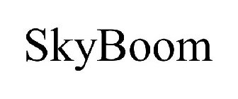 SKYBOOM