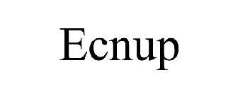 ECNUP