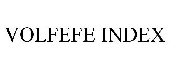 VOLFEFE INDEX