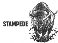 STAMPEDE