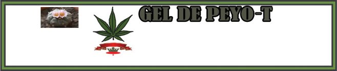 GEL DE PEYO-T