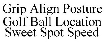 GRIP ALIGN POSTURE GOLF BALL LOCATION SWEET SPOT SPEED