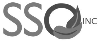 SSO INC