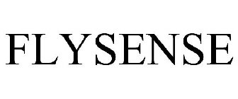 FLYSENSE