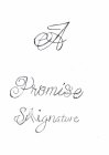 A PROMISE SIGNATURE