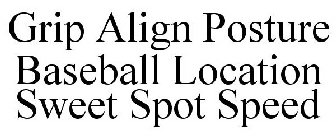 GRIP ALIGN POSTURE BASEBALL LOCATION SWEET SPOT SPEED