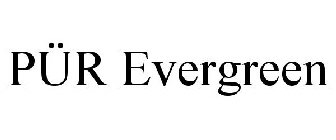 PÜR EVERGREEN