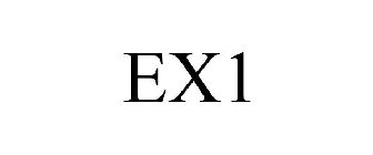EX1