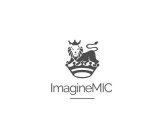 IMAGINEMIC