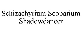 SCHIZACHYRIUM SCOPARIUM SHADOWDANCER