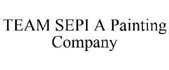 TEAM SEPI A PAINTING COMPANY