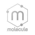 M MOLECULE