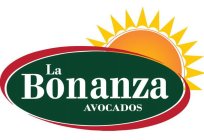 LA BONANZA AVOCADOS