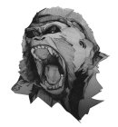 Image Trademark