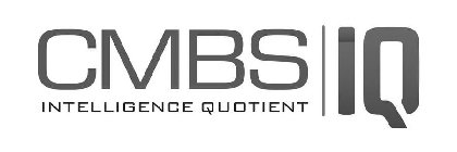 CMBS INTELLIGENCE QUOTIENT IQ