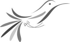 Image Trademark
