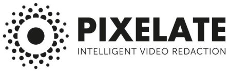 PIXELATE INTELLIGENT VIDEO REDACTION