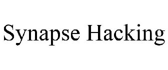 SYNAPSE HACKING