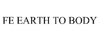 FE EARTH TO BODY