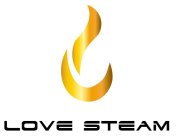 LOVE STEAM