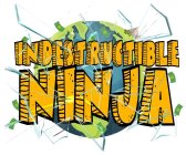 INDESTRUCTIBLE NINJA