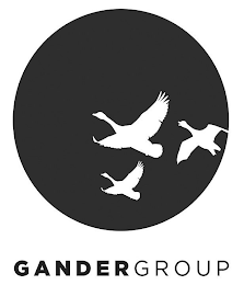 GANDERGROUP