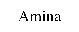 AMINA