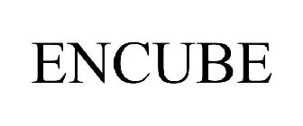 ENCUBE