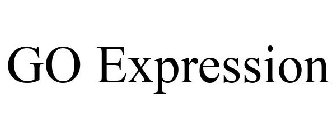 GO EXPRESSION