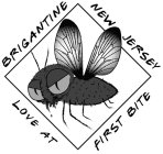 BRIGANTINE NEW JERSEY LOVE AT FIRST BITE