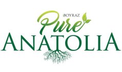 BOYRAZ PURE ANATOLIA