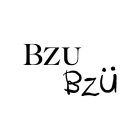 BZU BZÜ