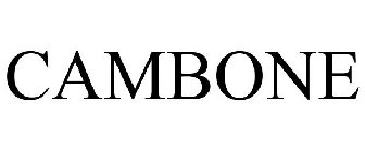 CAMBONE