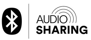 B AUDIO SHARING