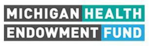 MICHIGAN HEALTH ENDOWMENT FUND