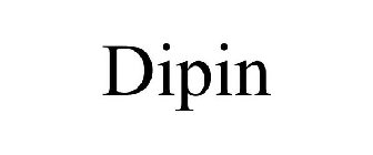 DIPIN