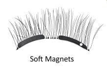 SOFT MAGNETS