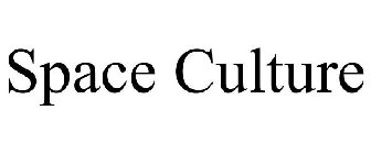 SPACE CULTURE