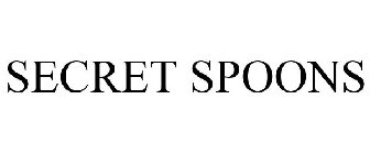 SECRET SPOONS