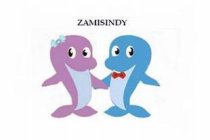 ZAMISINDY