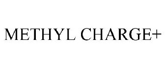 METHYL CHARGE+