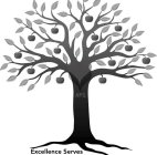 AFG EXCELLENCE SERVES