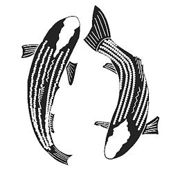 Image Trademark