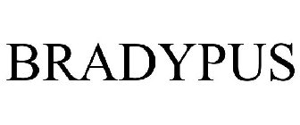 BRADYPUS